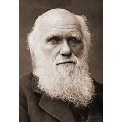 Charles Darwin et  les turricules du ver de terre !