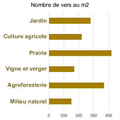 Quelle est l'origine du ver de terre ?