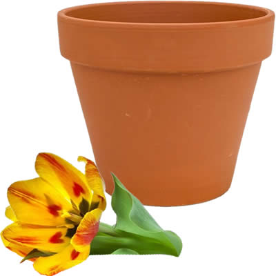 Un ver de terre dans un pot de fleur