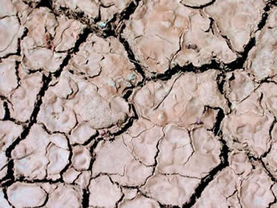 Terre sèche et craquelée