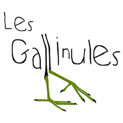 Partenaire de verdeterre.fr : Les Gallinules
