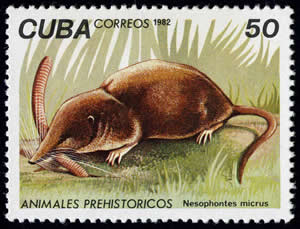 timbre Cuba - Nesophontes micrus et ver de terre