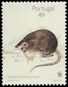 timbre Portugal - Mole des Pyrénées et ver de terre