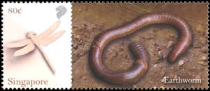 timbre Singapore - Earthworm