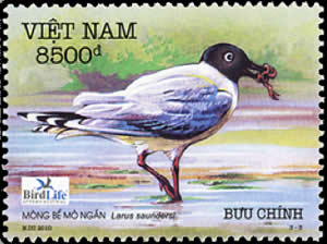 timbre Vietnam - Mouette de Saunders et ver de terre